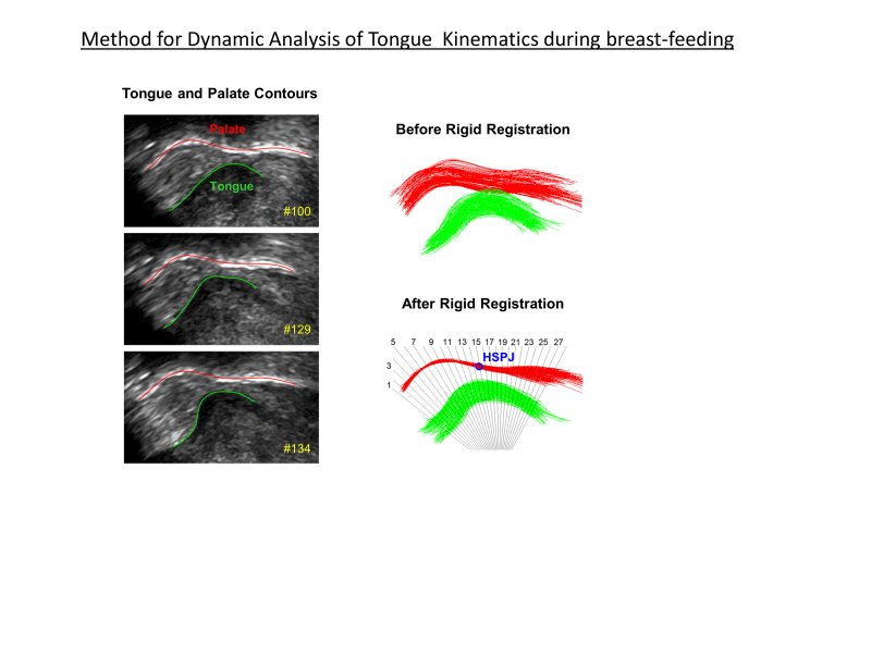 Tongue-Kinematics-1
